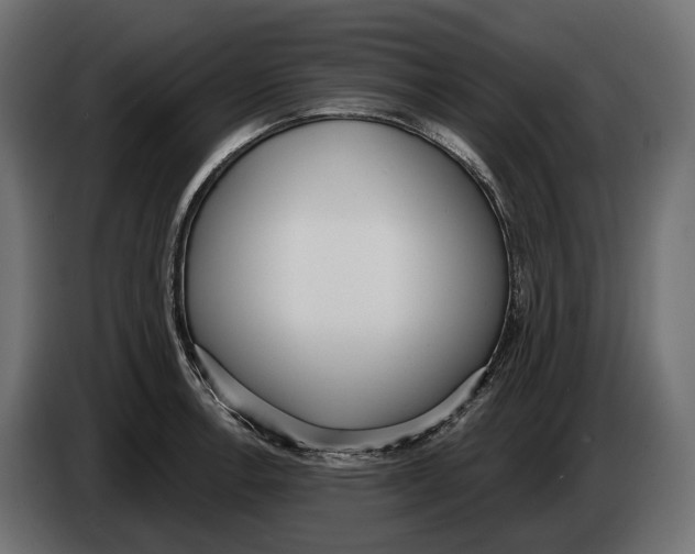 X0000083531138200703021545