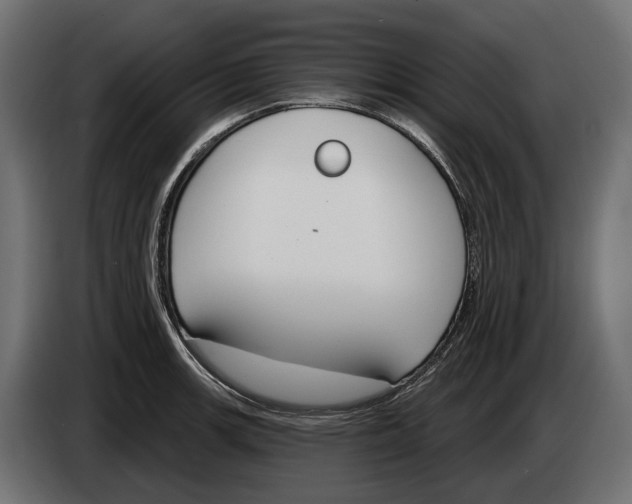 X0000083531139200703021545