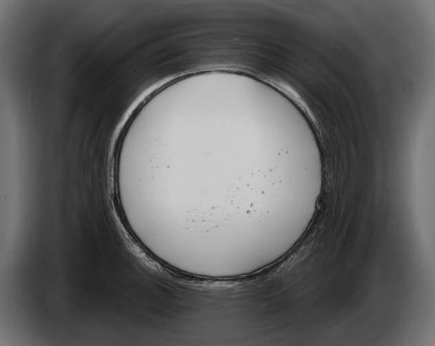 X0000083531140200703021545