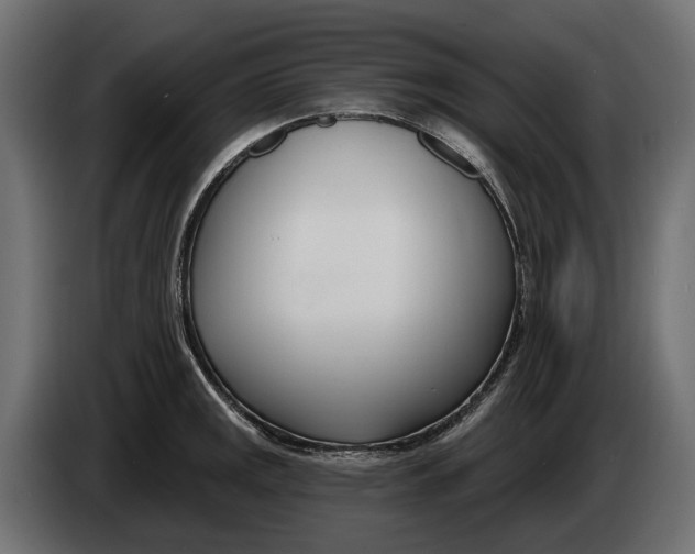 X0000083531141200703021545