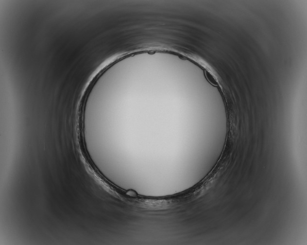 X0000083531142200703021545