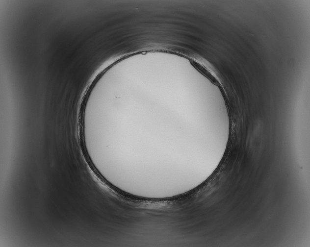 X0000083531143200703021545