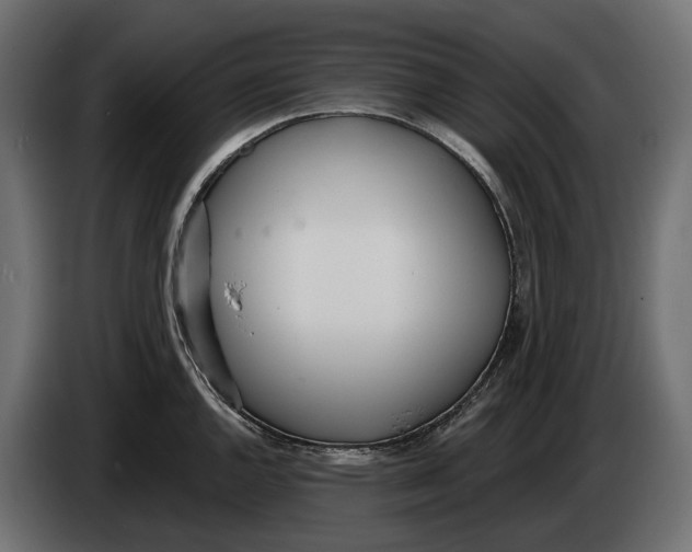 X0000083531144200703021545