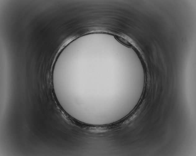 X0000083531145200703021545