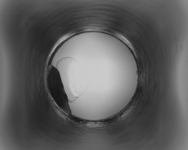 X0000083531146200703021545