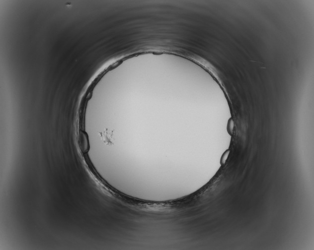 X0000083531147200703021545