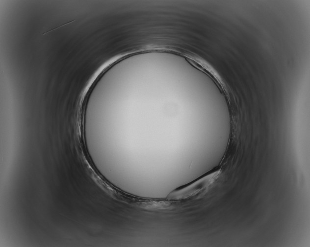 X0000083531148200703021545