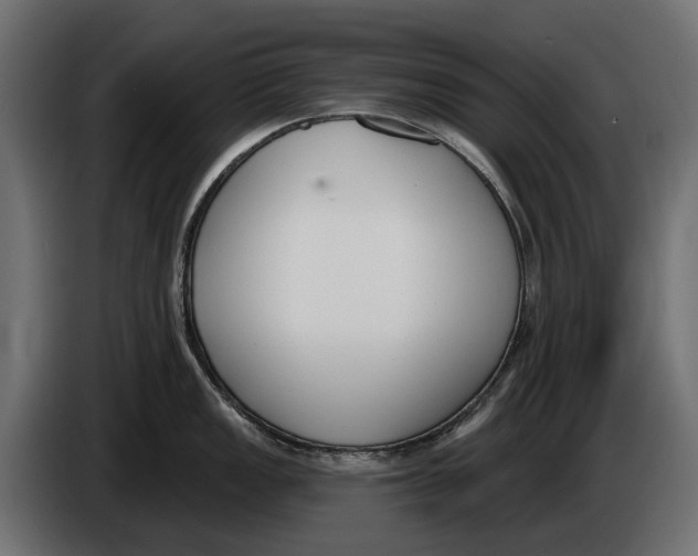 X0000083531149200703021545