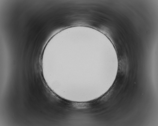 X0000083531150200703021545