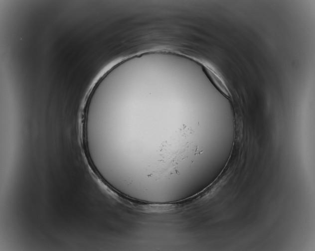 X0000083531151200703021545