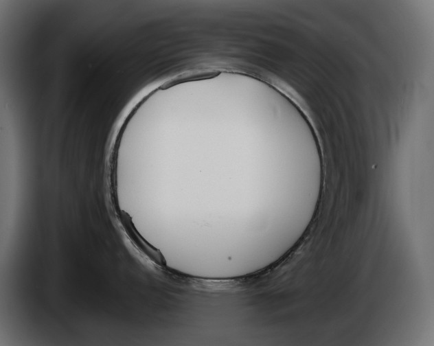 X0000083531152200703021545