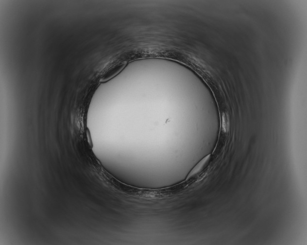 X0000083531155200703021544