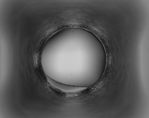 X0000083531157200703021544