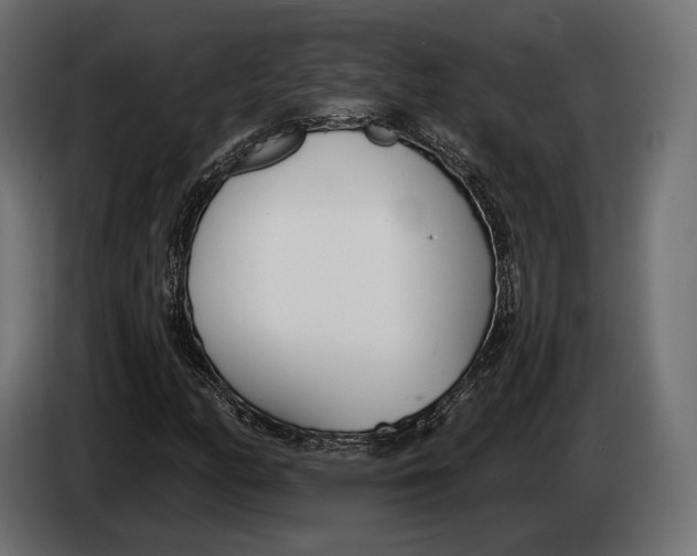 X0000083531158200703021544