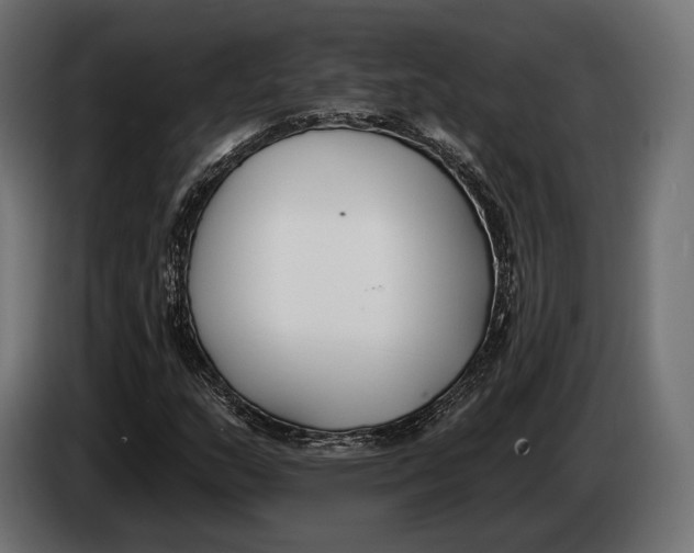 X0000083531159200703021544