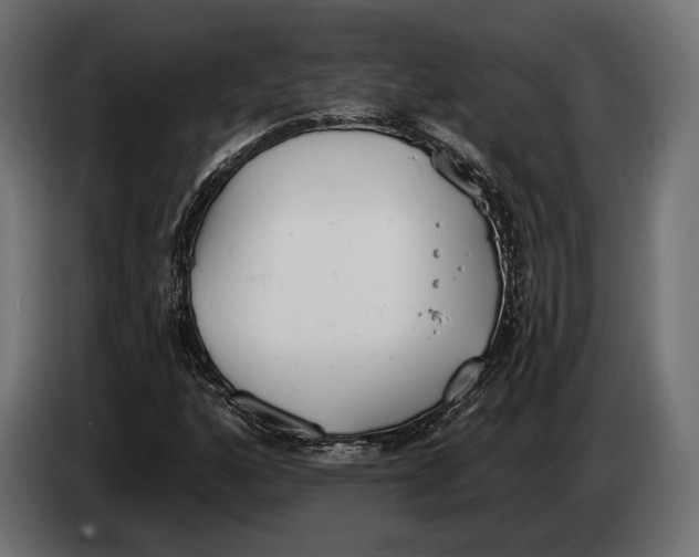 X0000083531160200703021544