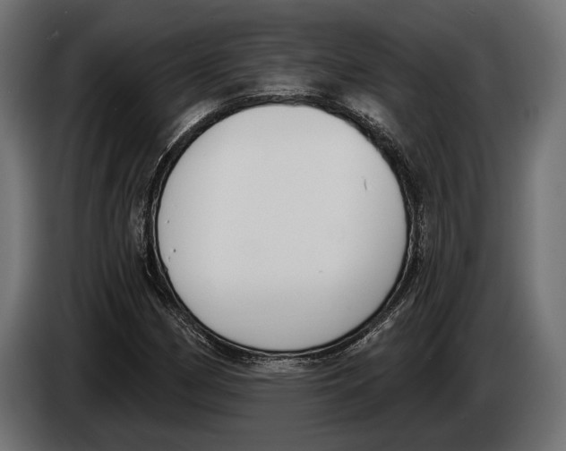 X0000083531162200703021544