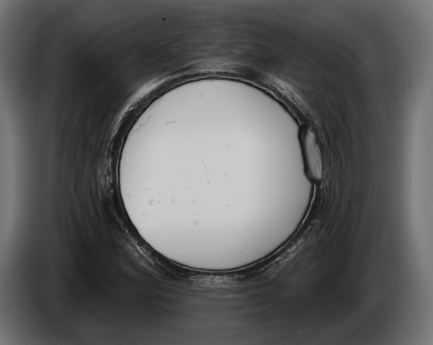 X0000083531164200703021544