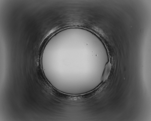 X0000083531165200703021544