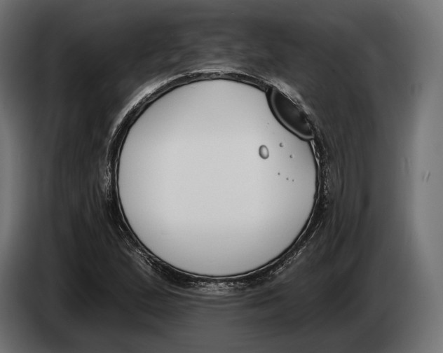 X0000083531167200703021544