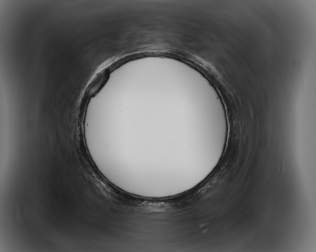 X0000083531168200703021544