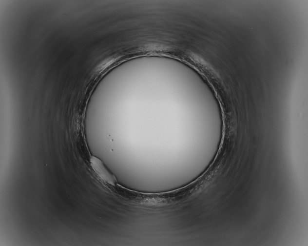 X0000083531169200703021544