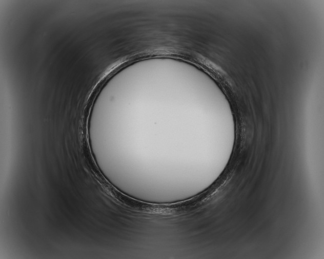 X0000083531170200703021544