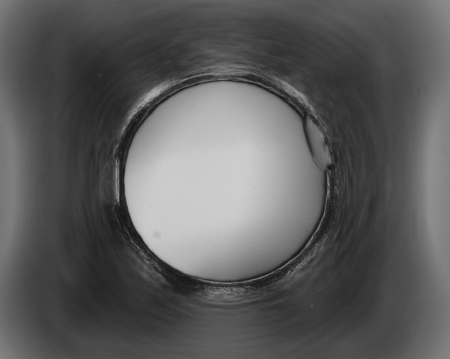 X0000083531171200703021544