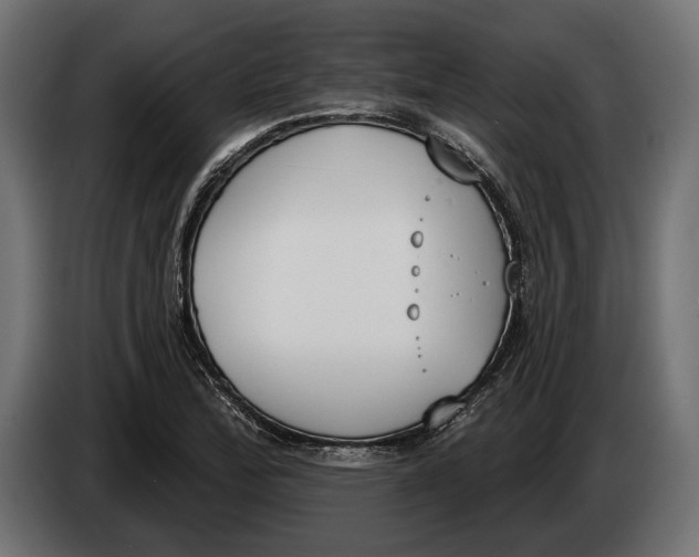 X0000083531172200703021544