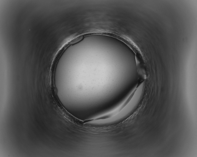 X0000083531173200703021544