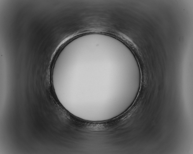 X0000083531174200703021544