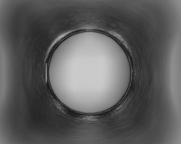 X0000083531175200703021544