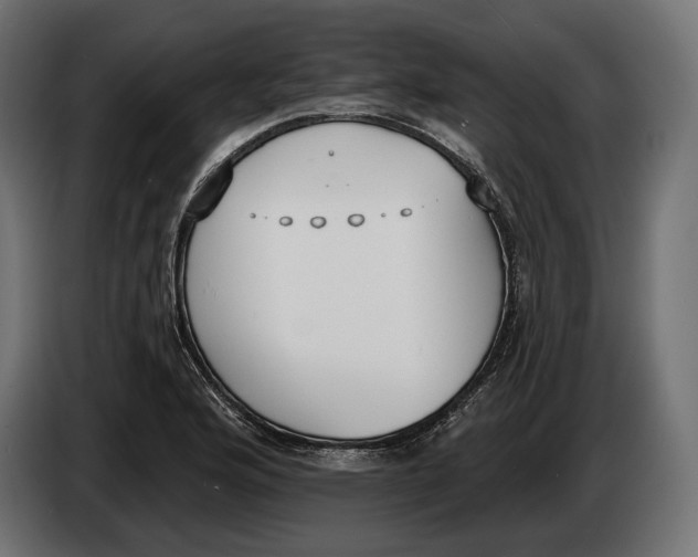 X0000083531176200703021544