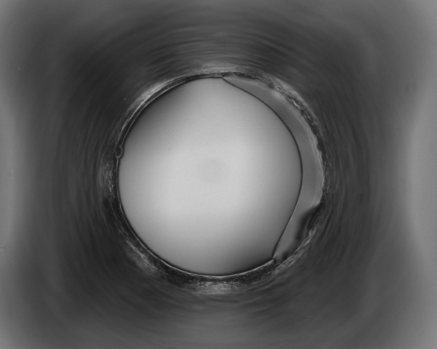 X0000083531177200703021544