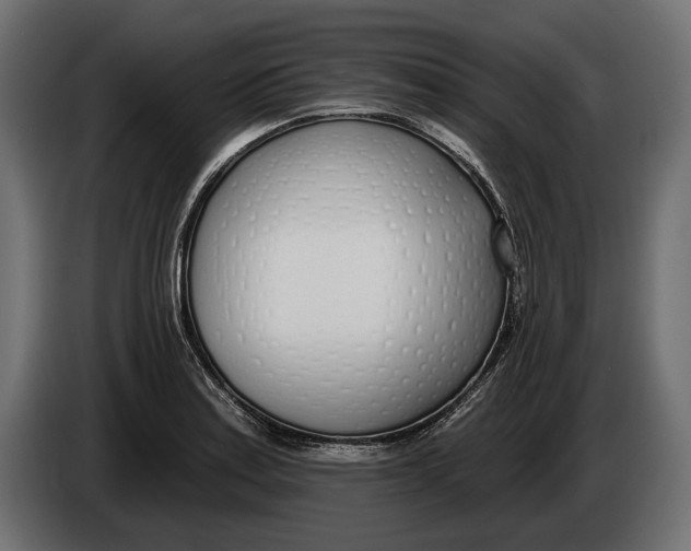 X0000083531179200703021544