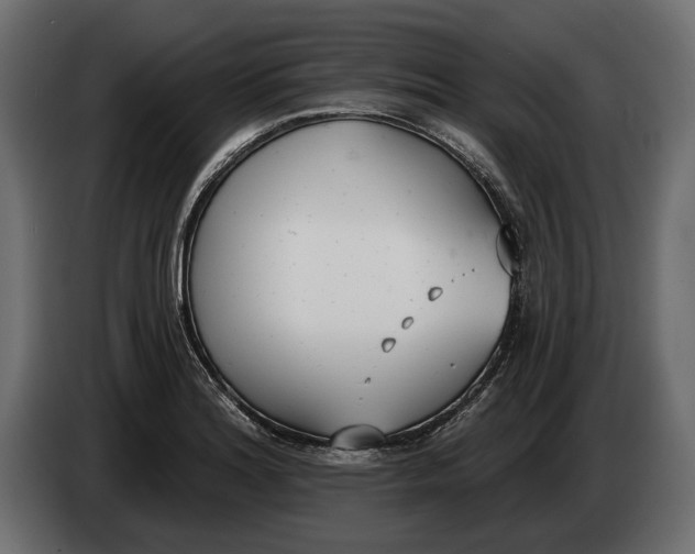 X0000083531180200703021544