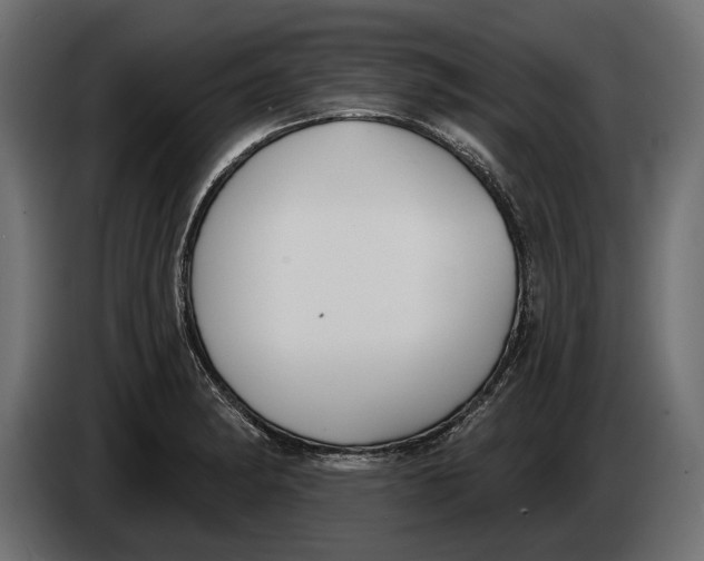 X0000083531182200703021544