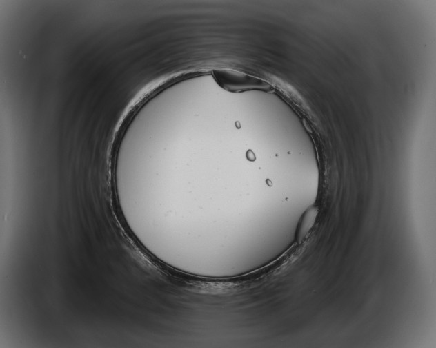 X0000083531184200703021544