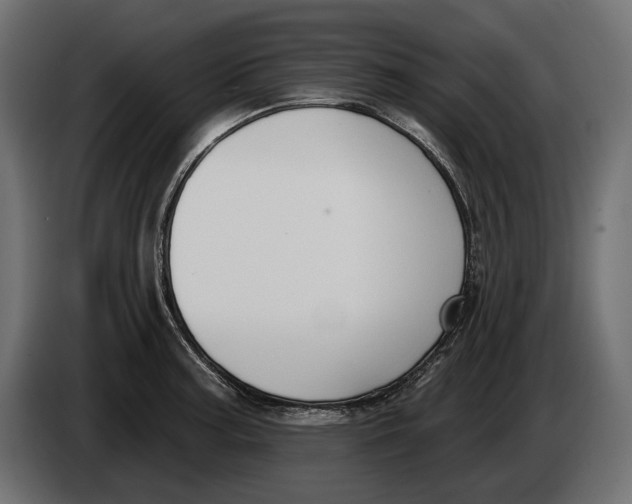 X0000083531187200703021544