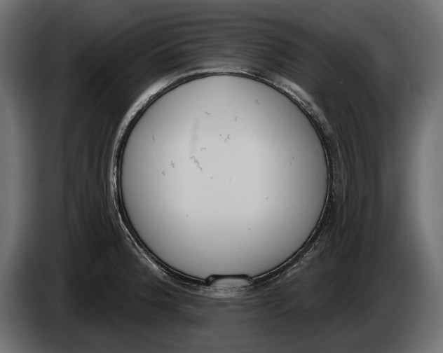 X0000083531188200703021544