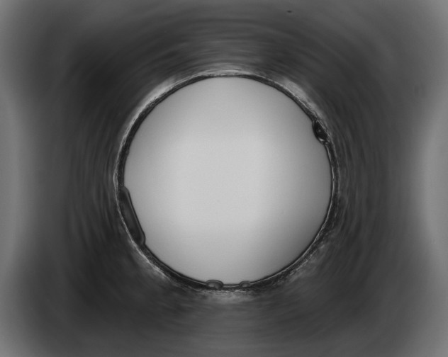 X0000083531189200703021544