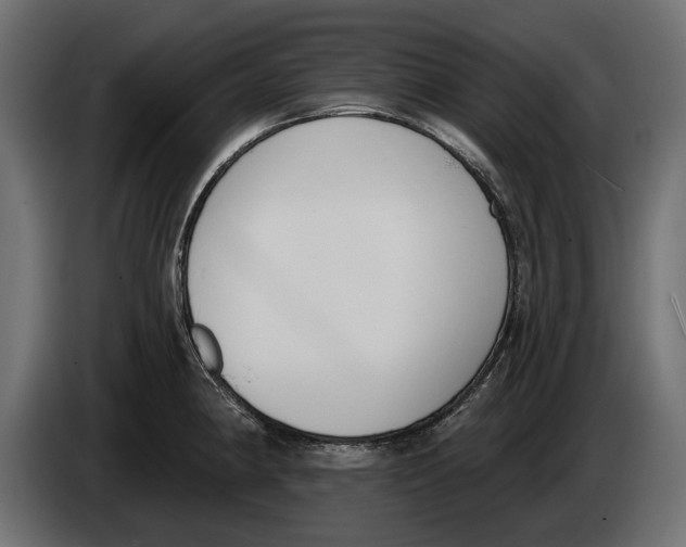 X0000083531190200703021544