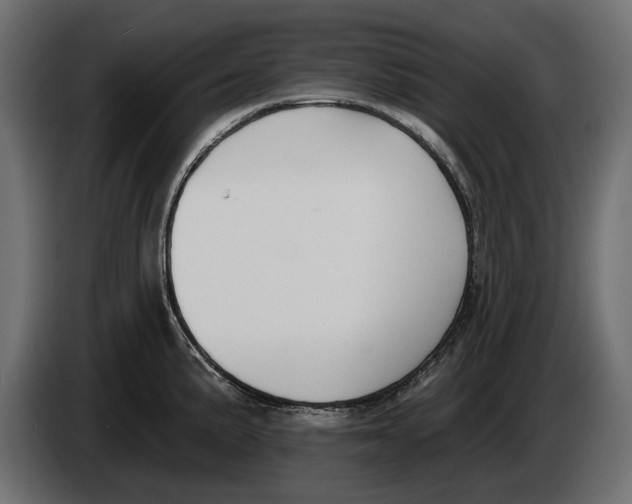 X0000083531191200703021544