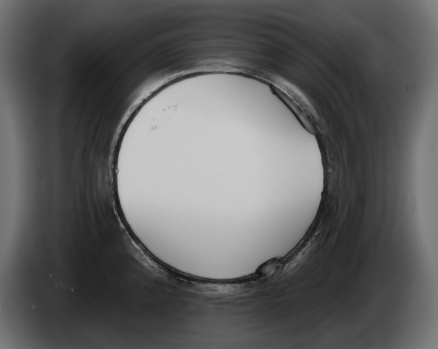 X0000083531192200703021544