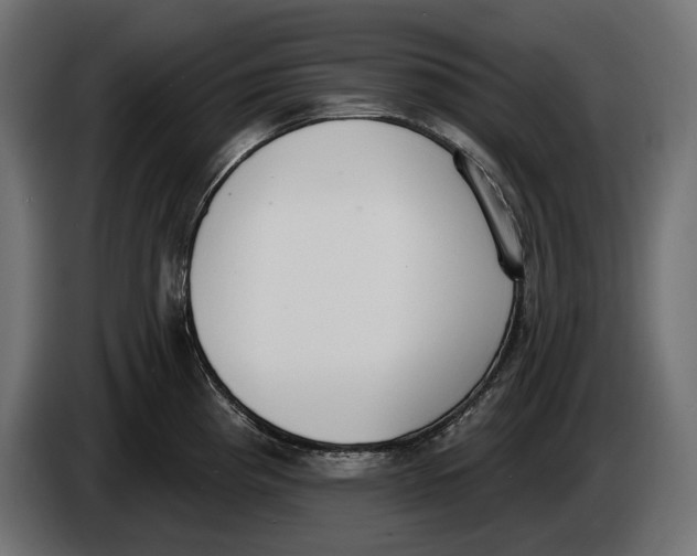 X0000083531193200703021544