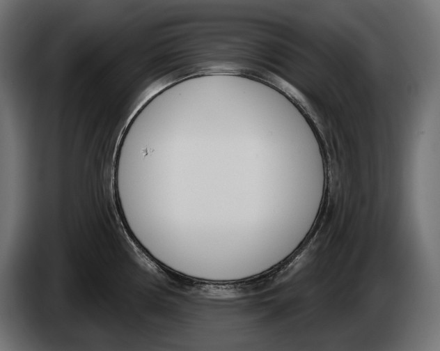 X0000083531194200703021544