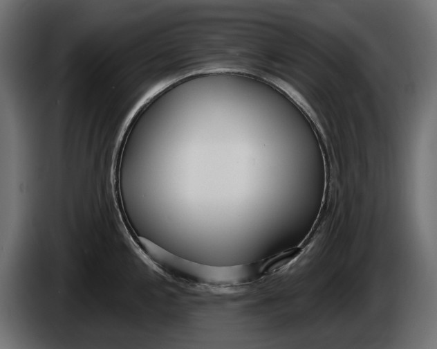 X0000083531197200703021544