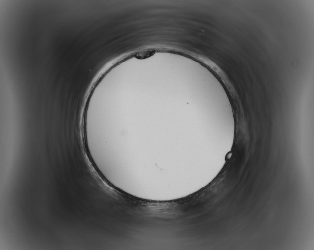 X0000083531199200703021544