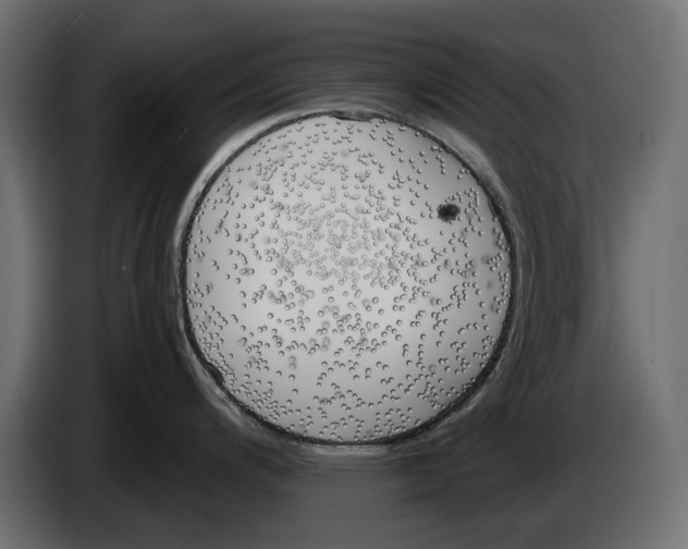 X0000083531200200703021544