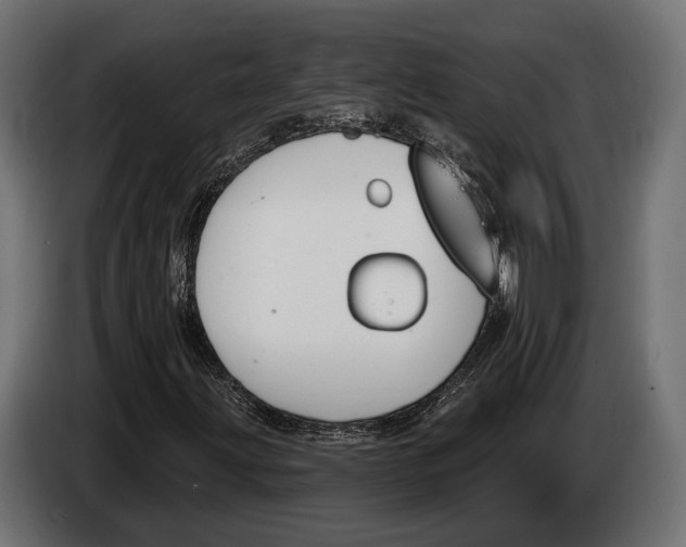 X0000083531203200703021543